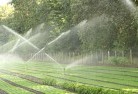 Mayfield NSWlandscaping-water-management-and-drainage-17.jpg; ?>