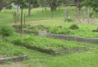 Mayfield NSWsustainable-landscaping-19.jpg; ?>